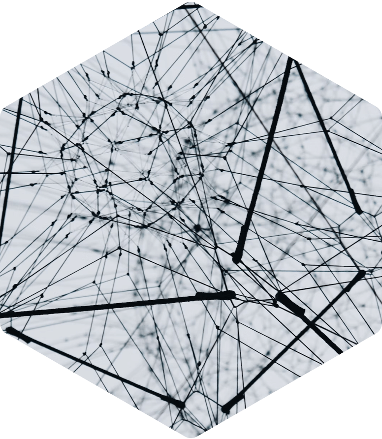 Hexagon Virtual Security Assessments 2