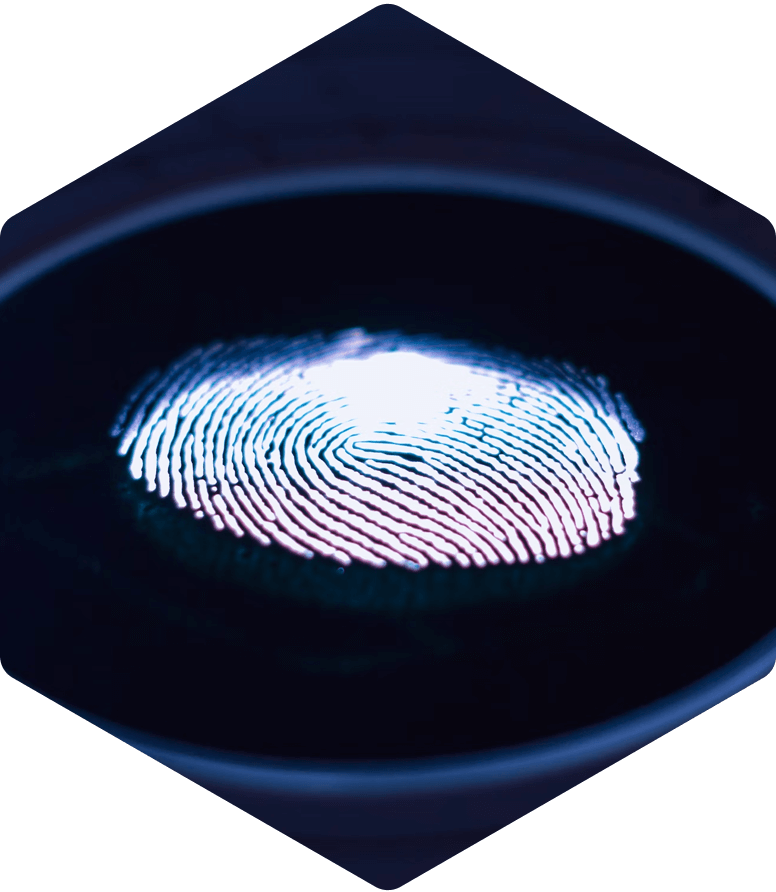 Hexagon Virtual Security Assessments 3