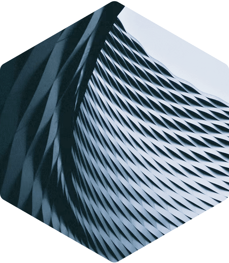 JUNIPER Networks Polygon 2