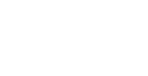 LUNIQ_icon DELL