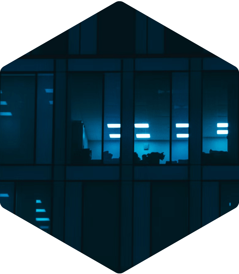 Hexagon Virtual Security Assessments 1