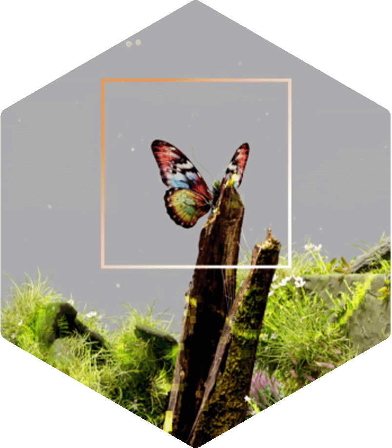 NVIDIA L40S POLYGON 3